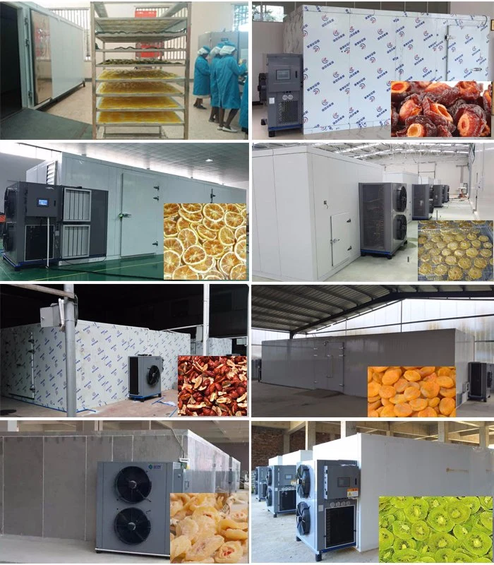 Various Food Fish Tomato Drying Type Industrial Fruit and Vegetable Dryer Machine