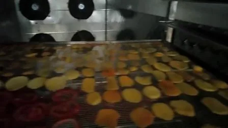 Verschiedene Lebensmittel-Fisch-Tomaten-Trocknungsart Industrielle Obst- und Gemüsetrocknermaschine